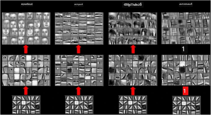 Hierarchical Feature Extraction