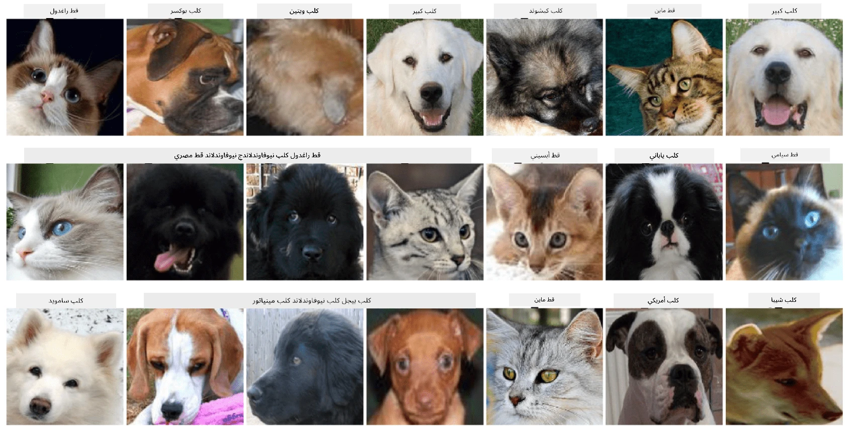 مجموعة البيانات التي سنتعامل معها