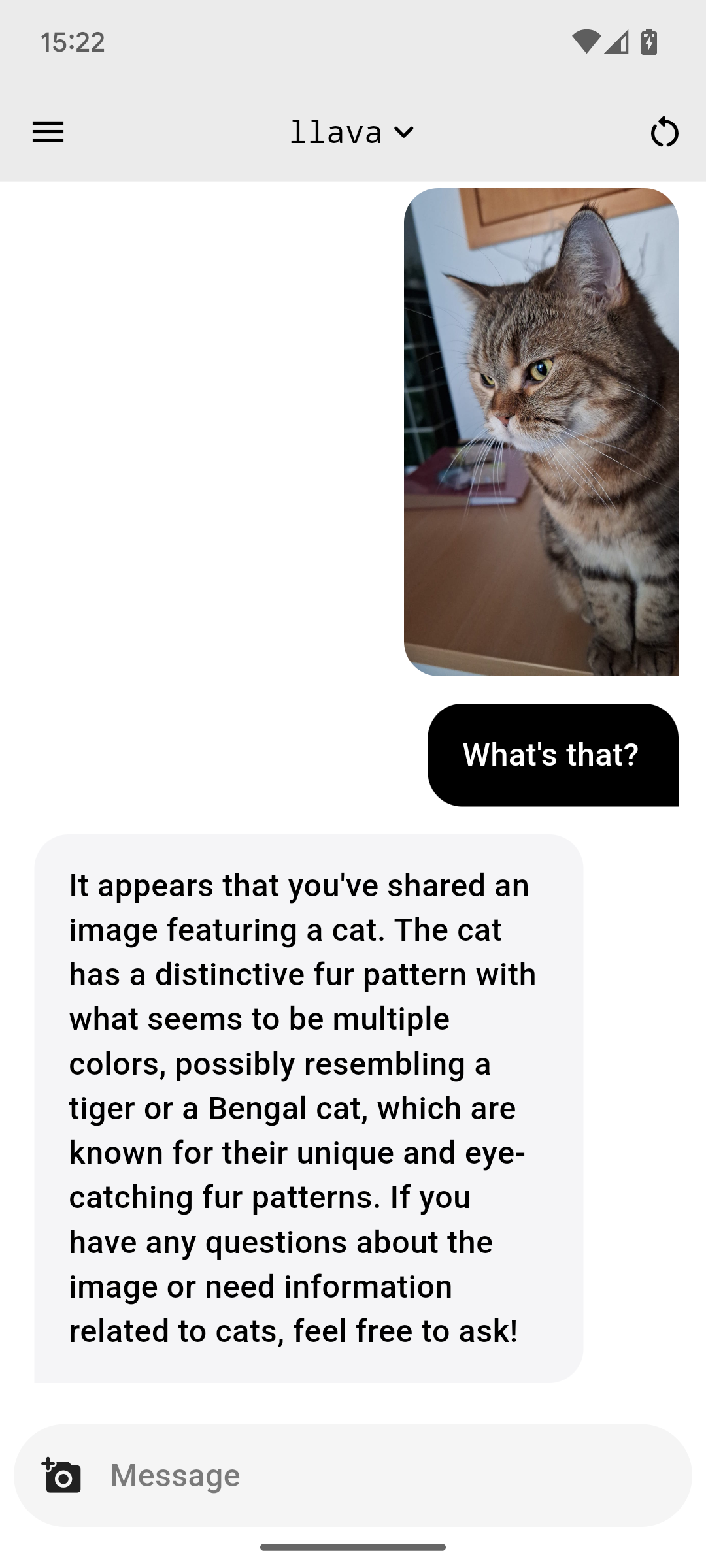 attachment dialog