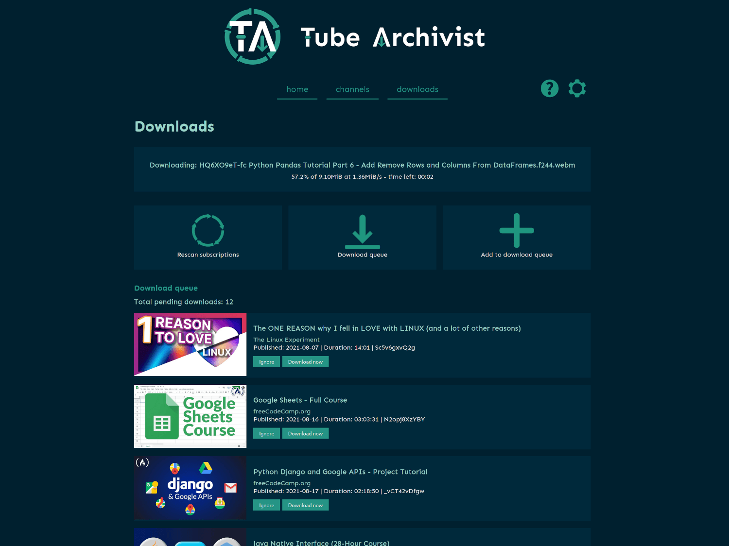 Tube Archivist Video Page video page screenshot